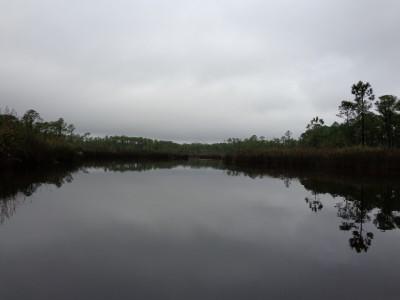 Bayou1.jpg