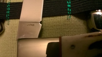 WP_20181113_144.jpg