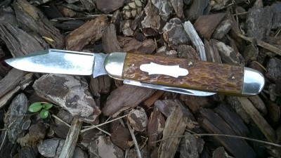 WP_20181003_024.jpg