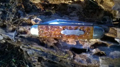 WP_20180923_040.jpg