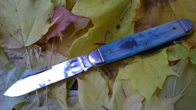 WP_20181114_060.jpg