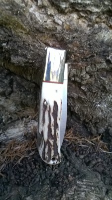 WP_20180312_011.jpg