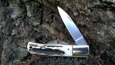 WP_20180312_002.jpg