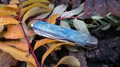 WP_20181117_010.jpg