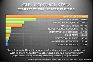 Gun Control Stats.JPG