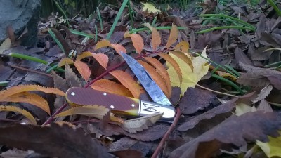 WP_20181117_029.jpg