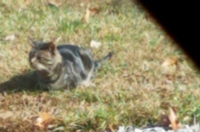 20181119_154439.jpg