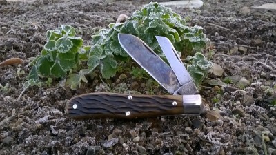 WP_20181120_003.jpg