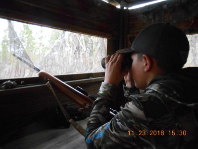 Looking deep into the scrub oaks and pines around the old clay pit.