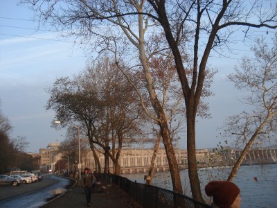 DSC05982.JPG