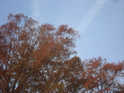 DSC05983.JPG