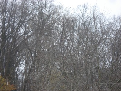 DSC05988.JPG