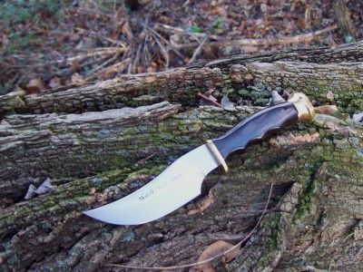 Small Muela Skinner.JPG