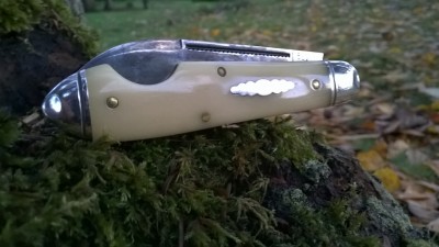 WP_20181127_074.jpg