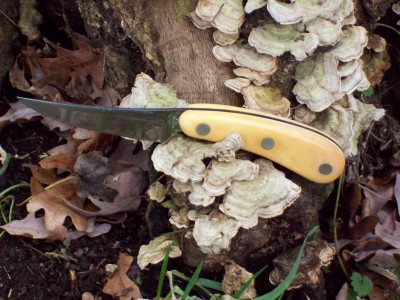 Imperial Yellow Delrin Skinner.jpg
