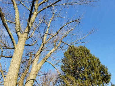 20181201_083908.jpg
