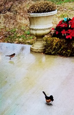 20181201_122011.jpg