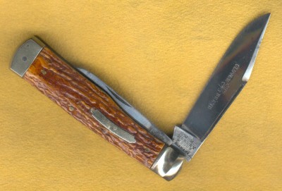 Pressed Stag Morely 2.jpg