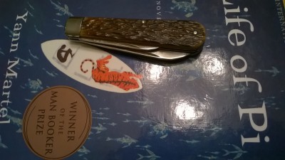WP_20181202_001.jpg