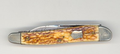 Pressed stag  Griffon2.jpg