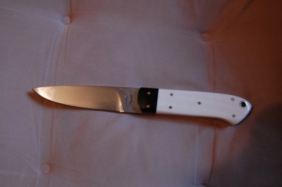484 ivory 001.JPG