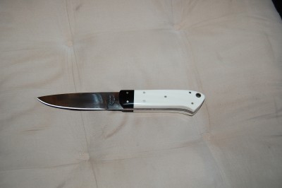 484 ivory 002.JPG