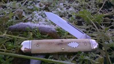 WP_20181205_010.jpg