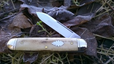 WP_20181205_001.jpg