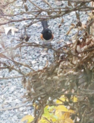 20181208_112001.jpg