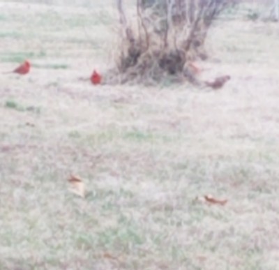 20181208_103639.jpg