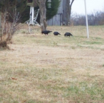 20181208_102226.jpg