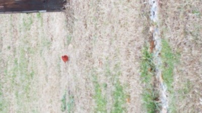 20181207_125157.jpg