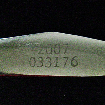DSC09784.JPG