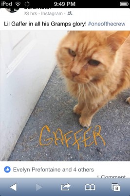 image.jpg