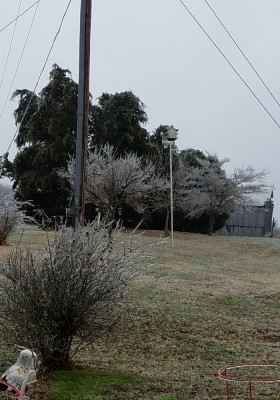 20181209_182422.jpg