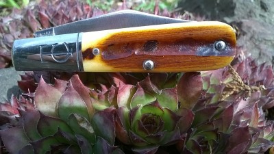 WP_20180409_086.jpg