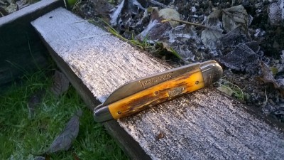 WP_20181205_046.jpg