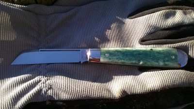 WP_20181119_017.jpg