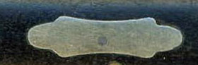 AERIAL Germany Shield.jpg