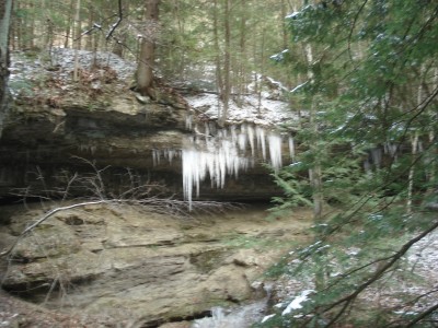 DSC06066.JPG