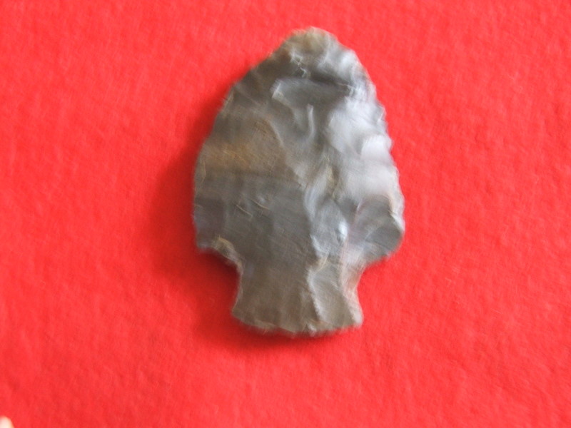 DSCF6553.JPG