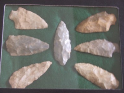 DSCF6554.JPG