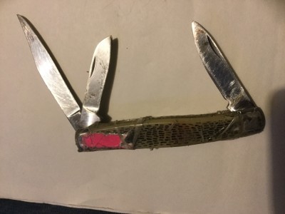 image.jpg