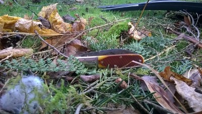 WP_20181215_012.jpg