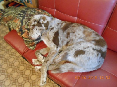DSCN4857.JPG