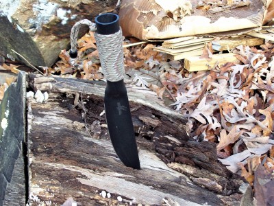 Bushman on the wood pile.JPG