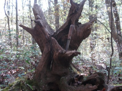 DSC05852.JPG