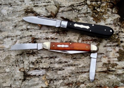 ebony Schatt & orange RR - 1.jpg