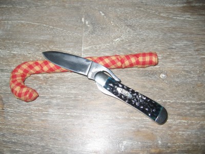 Case Russlock.JPG