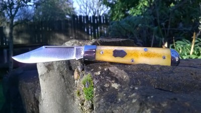 WP_20181224_004.jpg